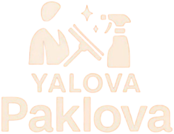 image-removebg-preview